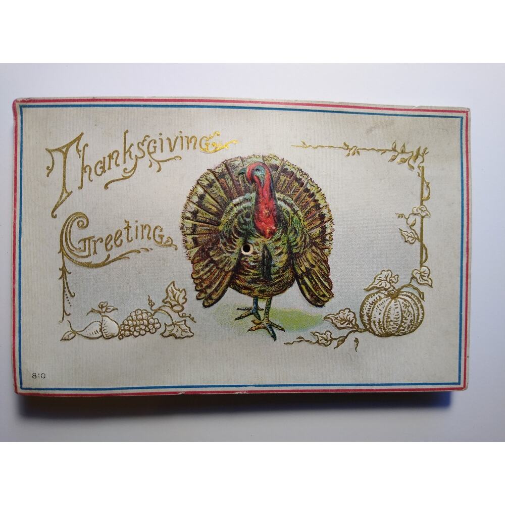 Squeaker Thanksgiving Greeting Lithograph Turkey Postcard Vintage Musical